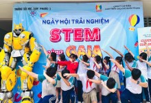 stem